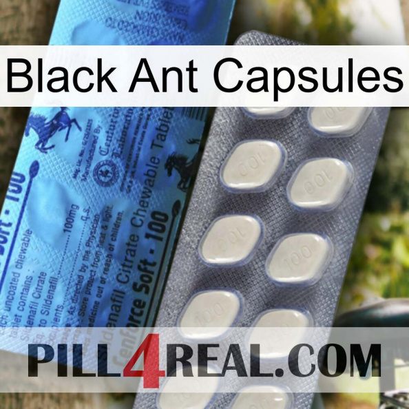 Black Ant Capsules 34.jpg